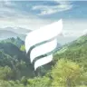 NFE